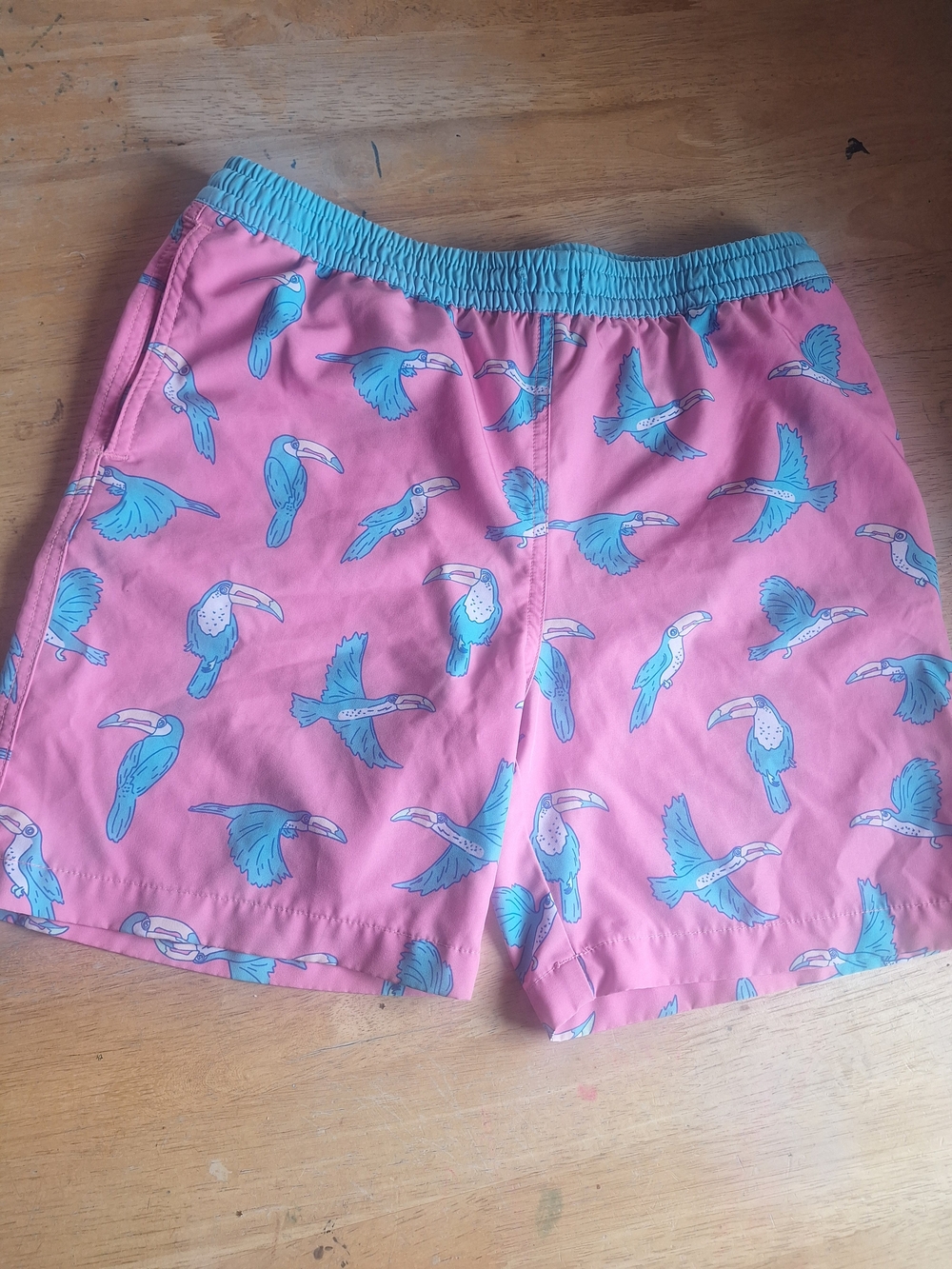 chubbies Pink Swim Trunks with Aqua Waistband